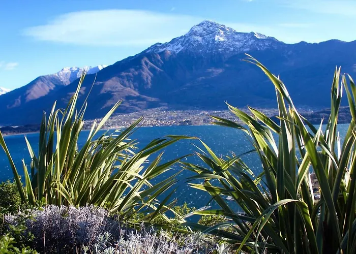 Lägenhet Delle Olive *
